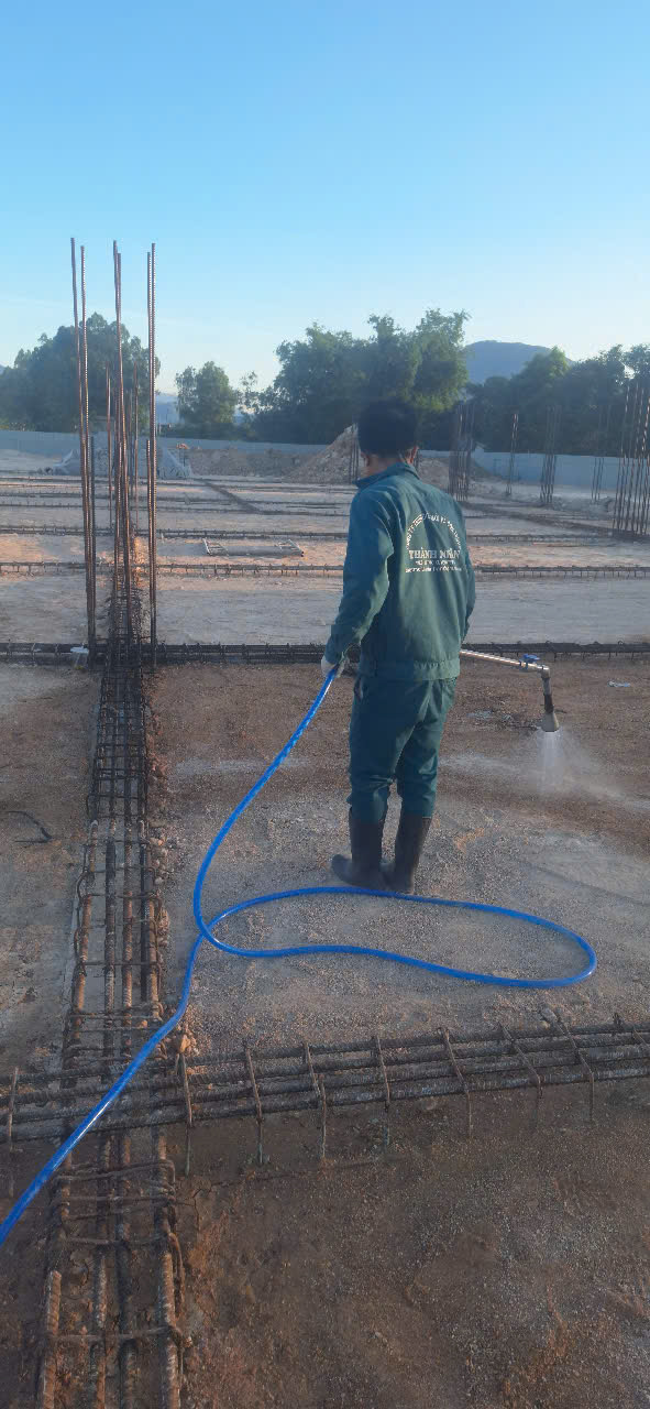 CÔNG TY PHÒNG CHỐNG MỐI CÔNG TRÌNH QUY NHƠN -DIỆT MÔI